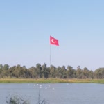 Tolga