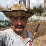 Özay