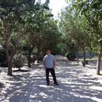 Ferhat