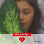Melek