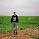 Davut