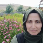 Didem