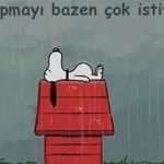 Ezgi