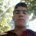 Nedim
