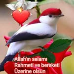 Hasan