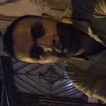 Erdal