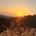 Aysenur