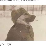 Erdal