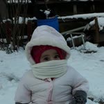 Havva