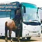 Fuat