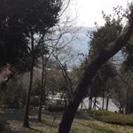 Yasemin