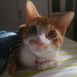 Emine