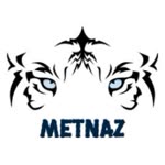 Metin