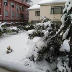 Servet