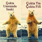 Behcet