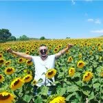 Erdal