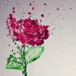 Derya