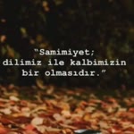 Songül