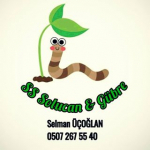 Ssolucan