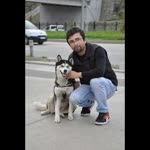 Zabit