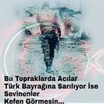 Harun