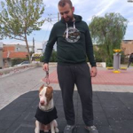 Ulaş