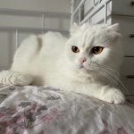 Sinem