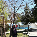Özer