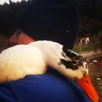 Profil fotoğrafı