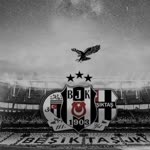 Alper