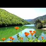 Çoruh