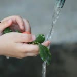 Mehtap