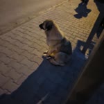 Rıza
