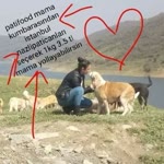 Nazlı