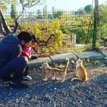 Mevlüt