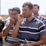Tolga