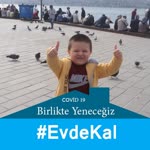 Sedat