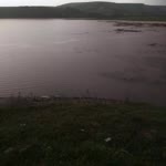 Metin
