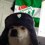 Efe
