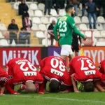 Doğan