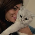Merve