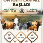 Ahmet