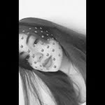 Elif