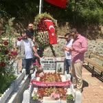 Murat