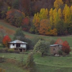 Osman