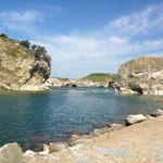 Rıza