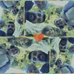 Kemal