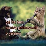 Serkan
