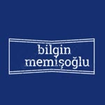 Bilgin