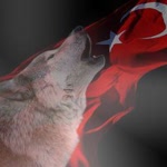 Davut